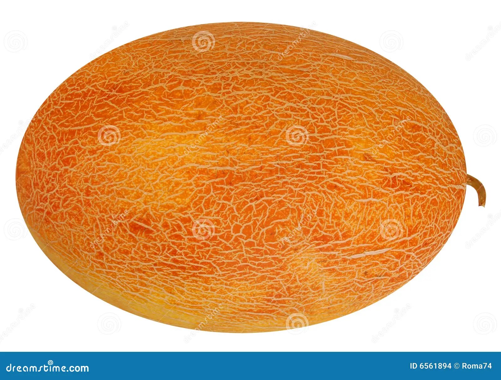 Orange melon stock photo. Image of sweet, palatable, isolated 6561894