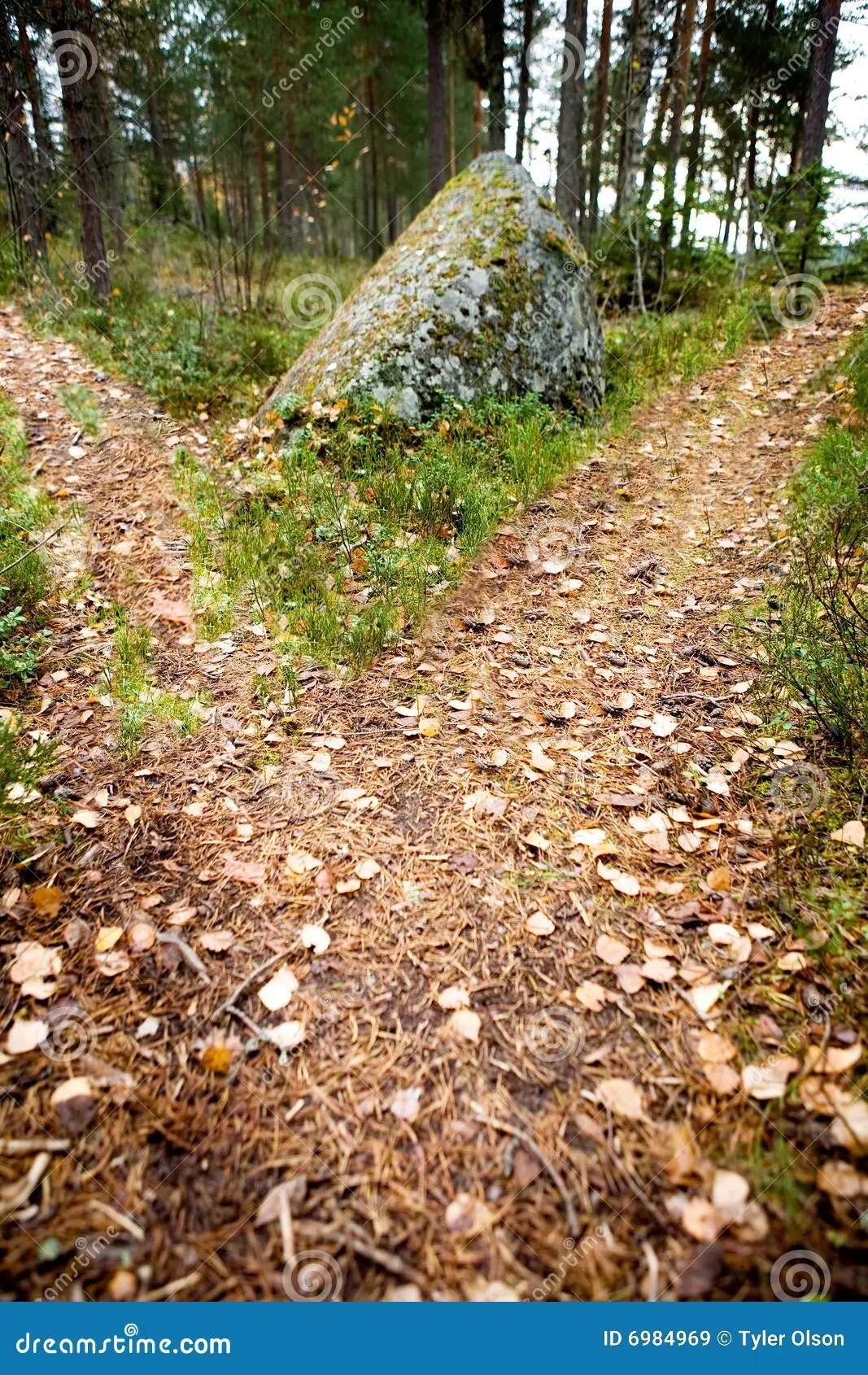 Path Split stock image. Image of road, decision