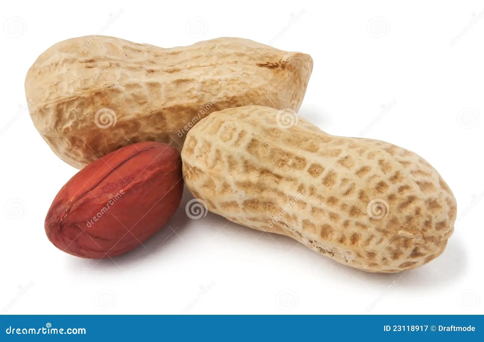 Peanuts stock image. Image of food, background, snack 23118917