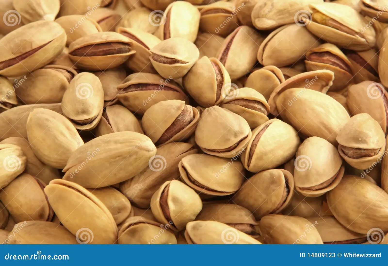 Pistachio stock image. Image of desert, health, pistachio 14809123