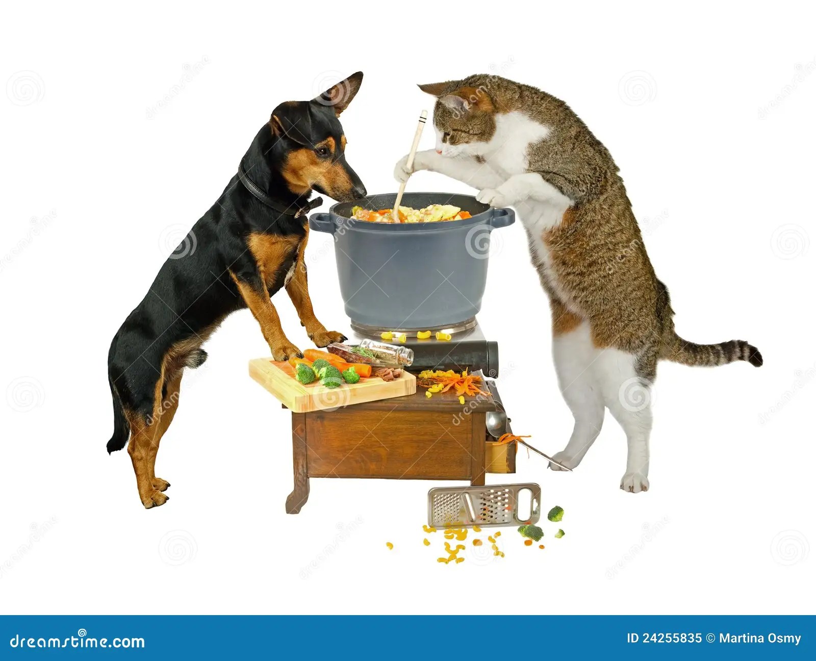 Pot Watcher stock image. Image of nutrion, menu, snack 24255835