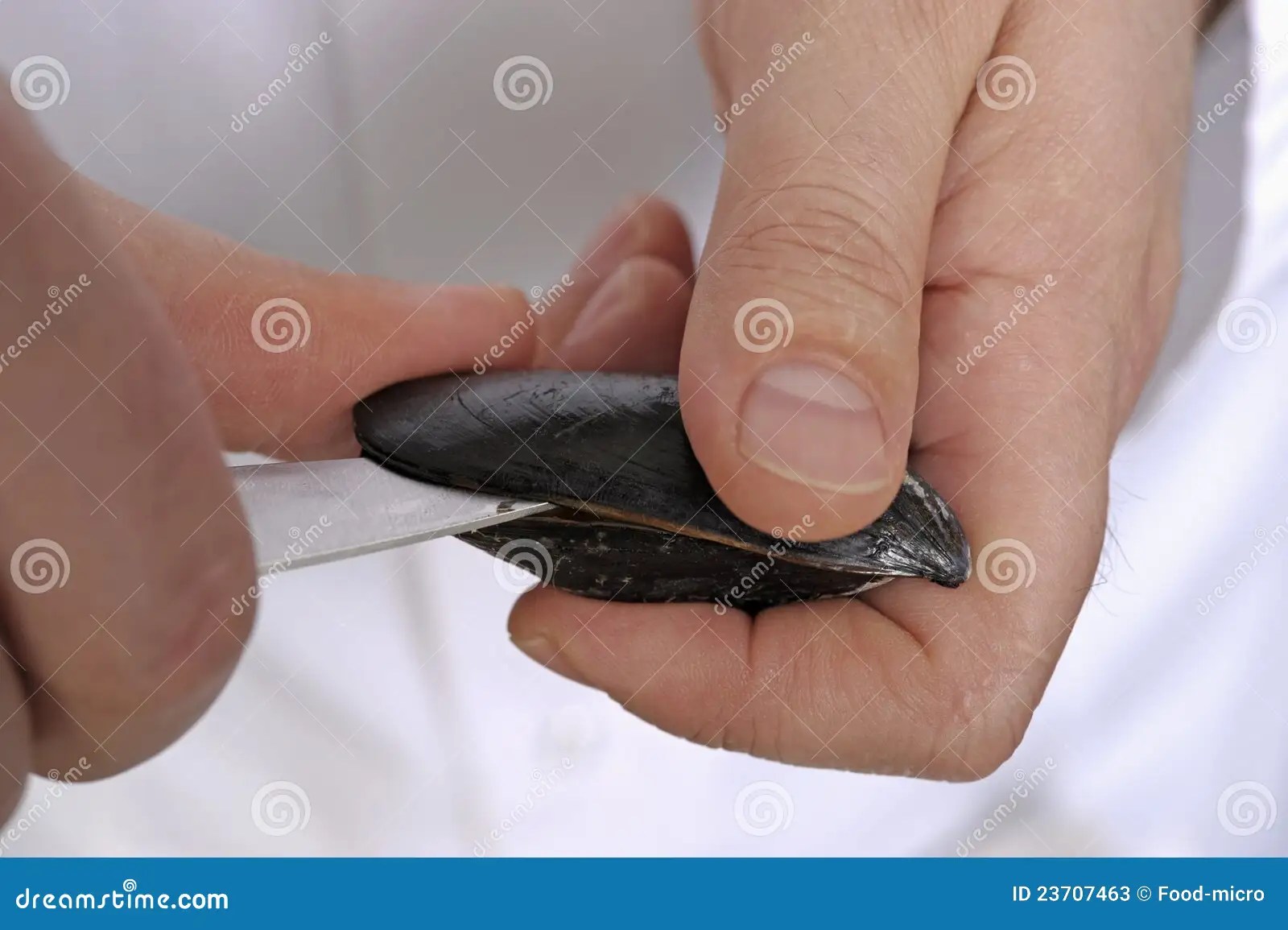 Preparing shellfish stock image. Image of shell, mussel 23707463