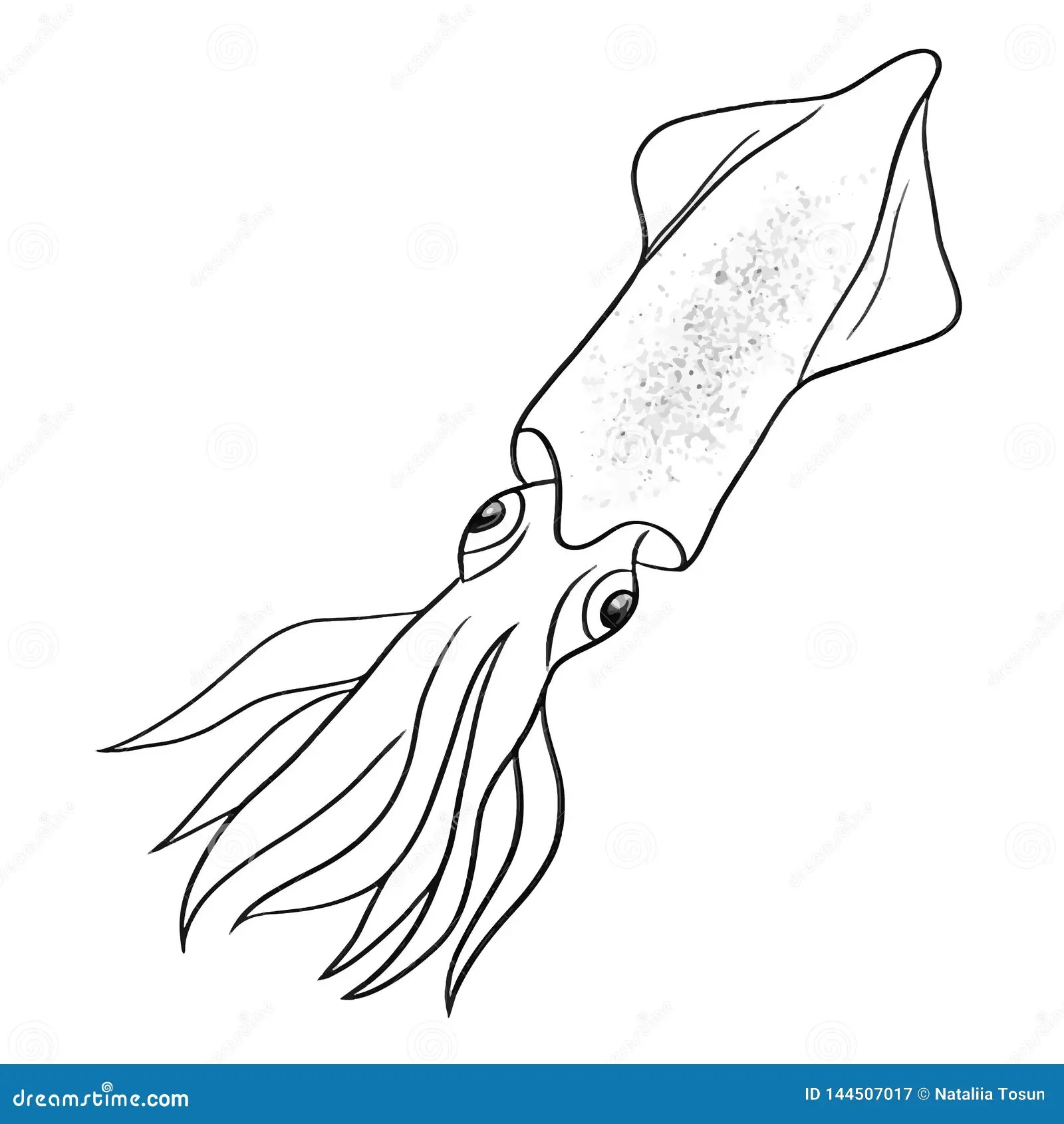 Beautiful Print Squid Line Vector Illustration Art. Stock Vector Illustration of cartoon, cute