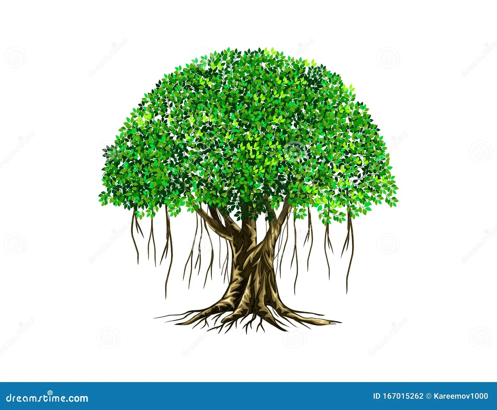 Banyan Tree Stock Illustrations 765 Banyan Tree Stock Illustrations