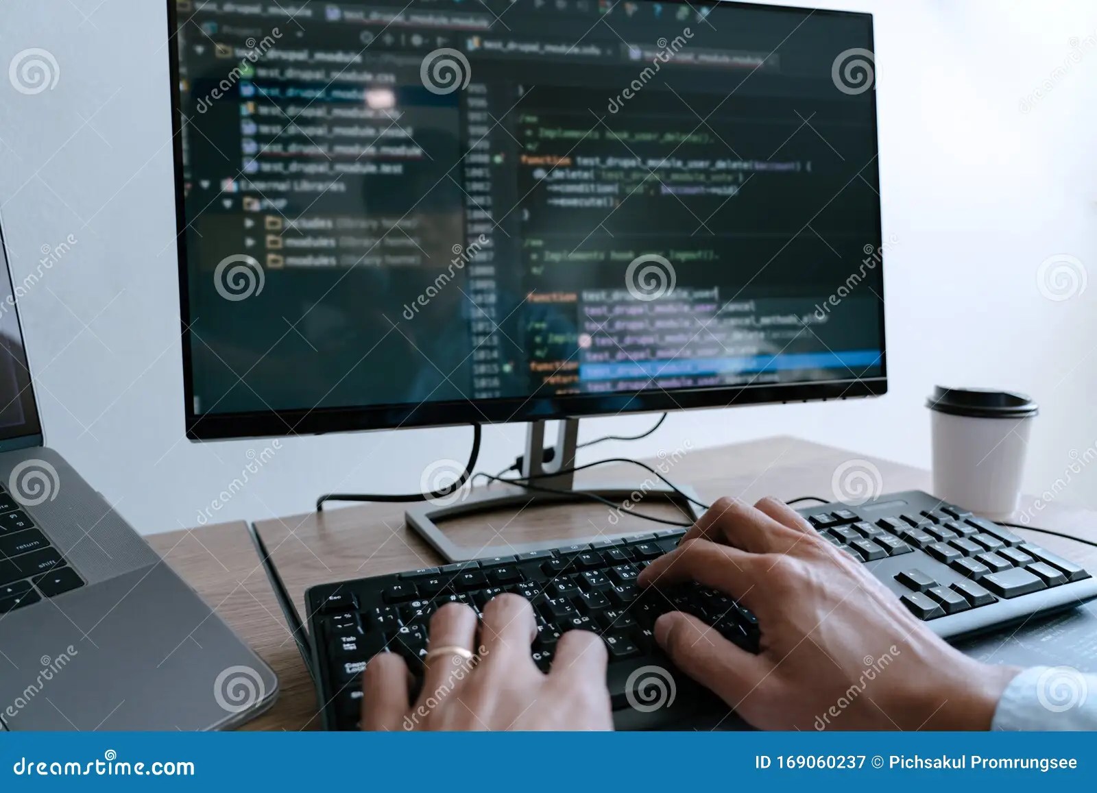Programmer Working on Computer in it Office Typing Data Coding in