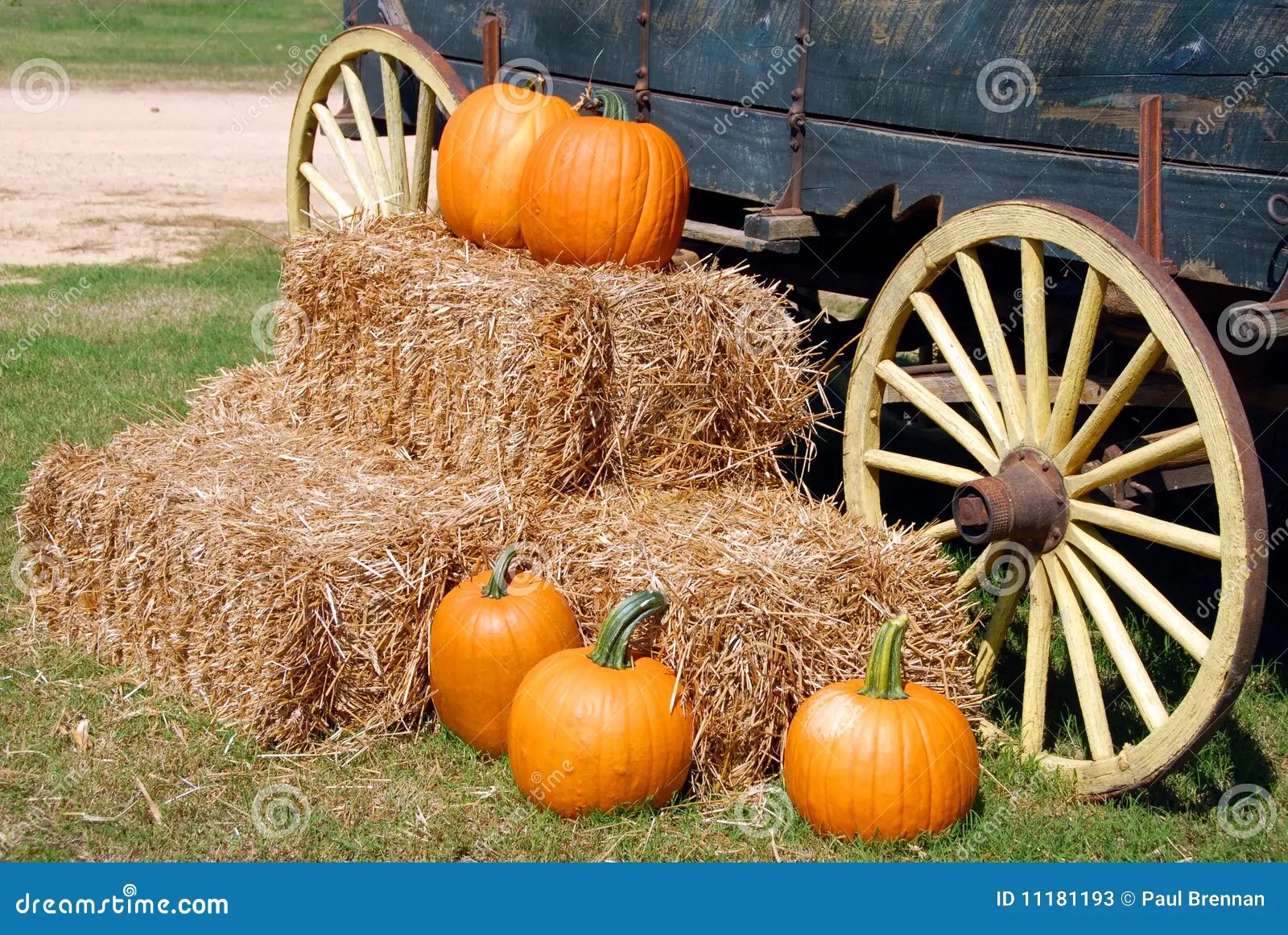 Pumpkins On Hay Stack Stock Photos Image 11181193
