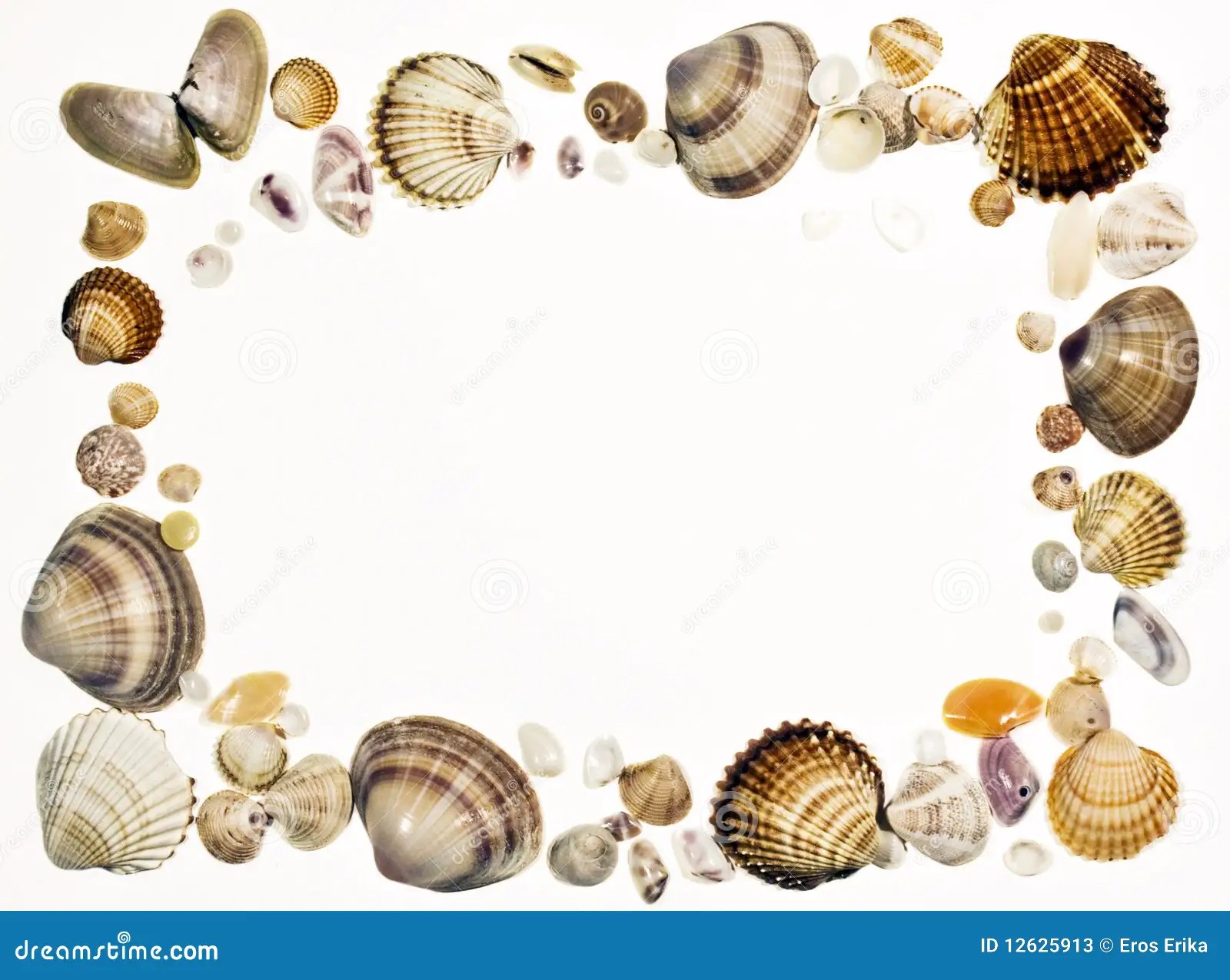 Shell Frame Stock Photos Image 12625913
