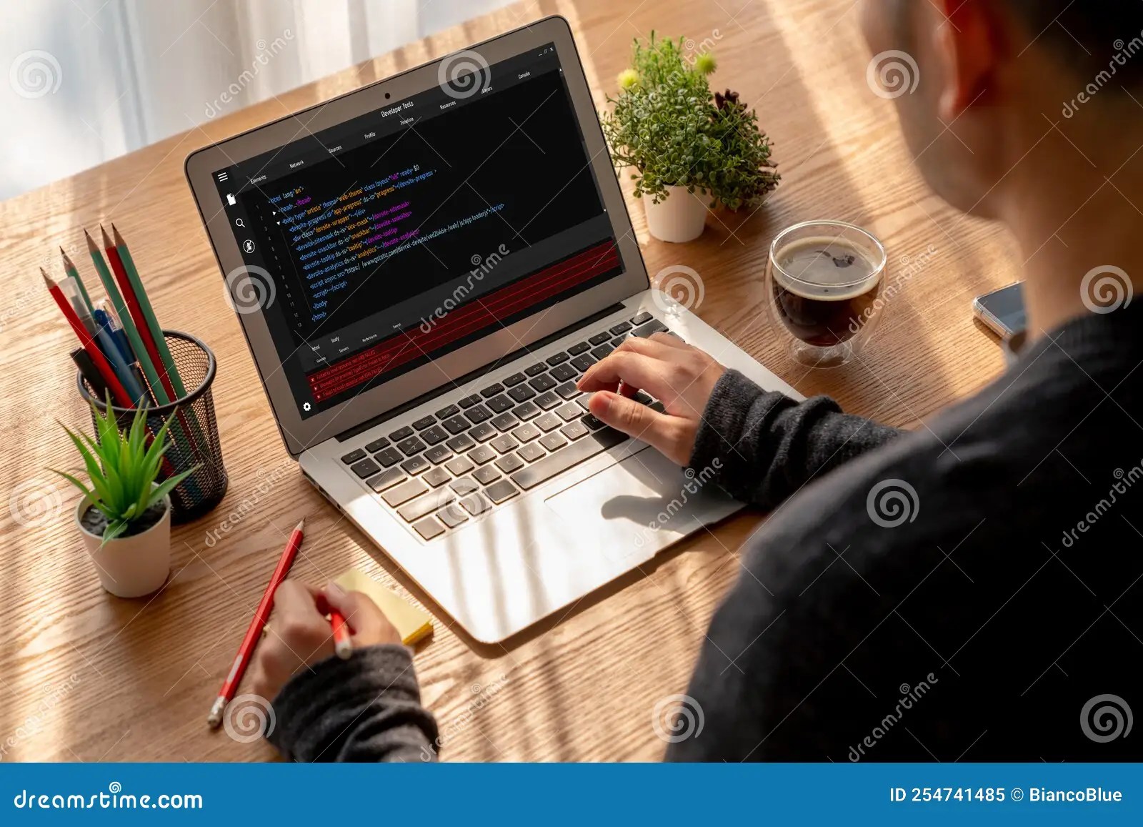 Software Development Programming on Computer Screen for Modish