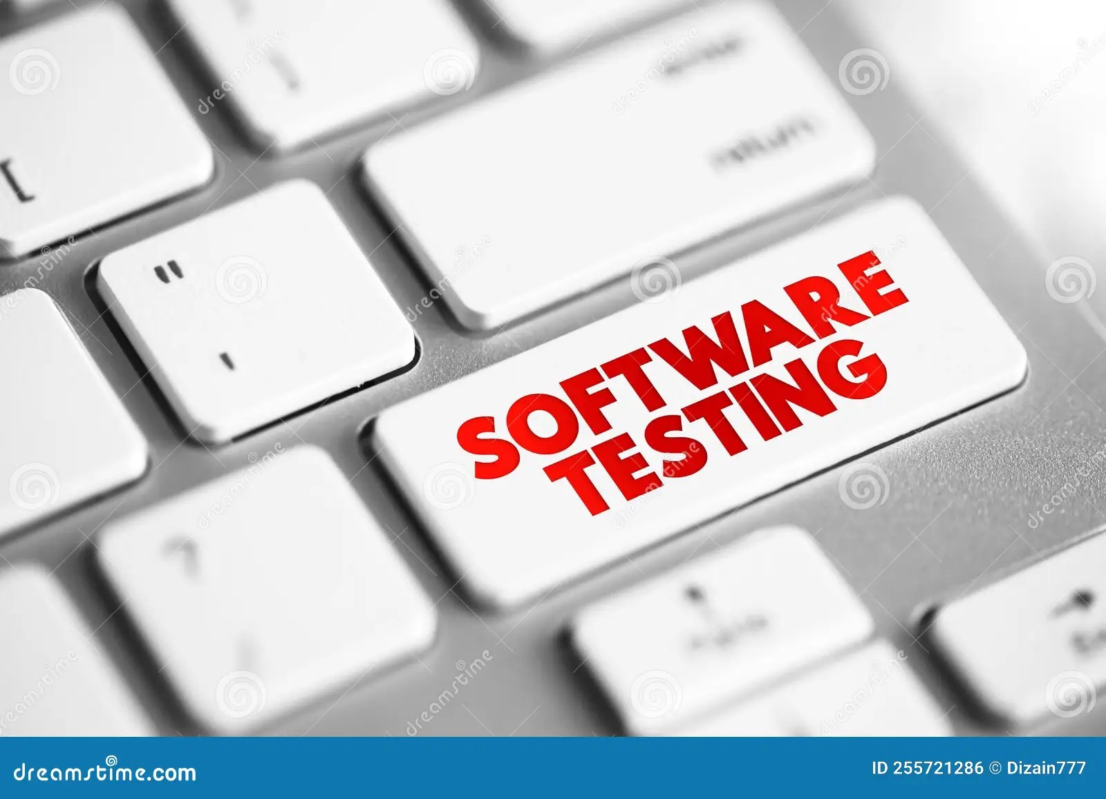 Software Testing Examining the Artifacts and the Behavior of the