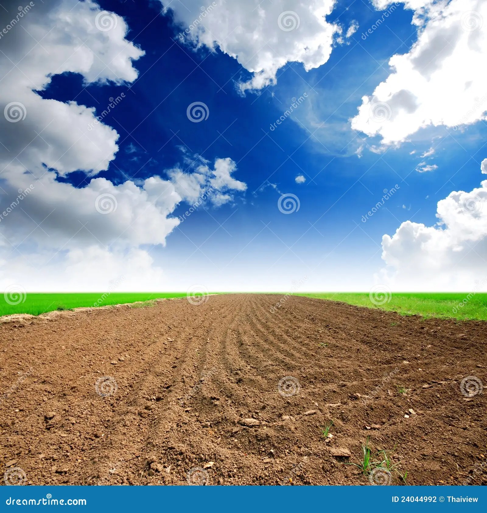 Soil Background, Soil Texture, Black Soil With Manure For Plant Growth