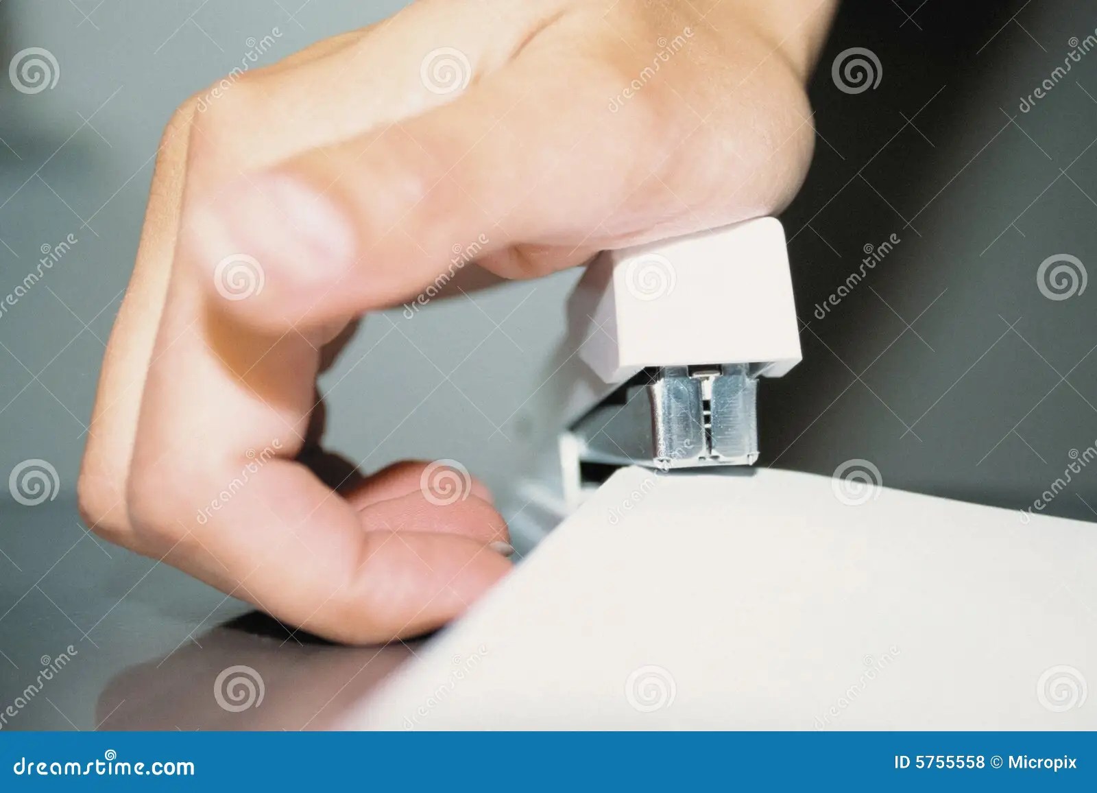 Stapling a document stock photo. Image of stapling, colour 5755558