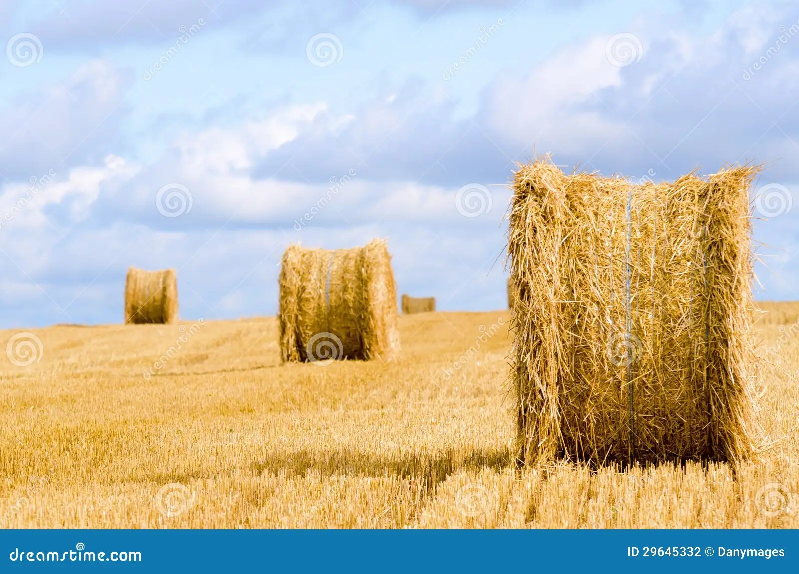Straw stock photo. Image of farming, strawball, straw 29645332