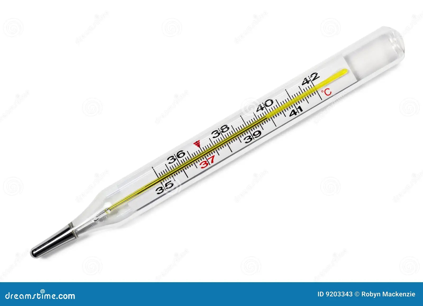 Thermometer Stock Photos Image 9203343