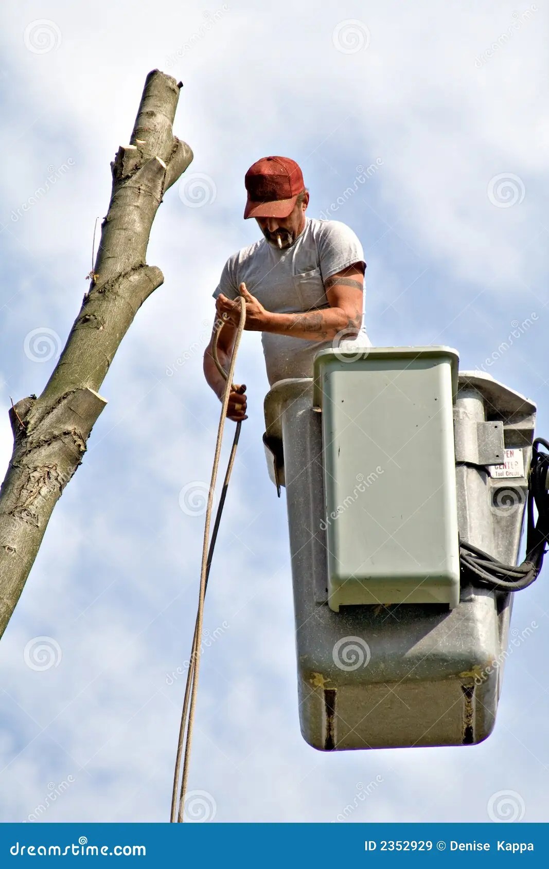 Tree work stock image. Image of occupation, truck, bucket 2352929