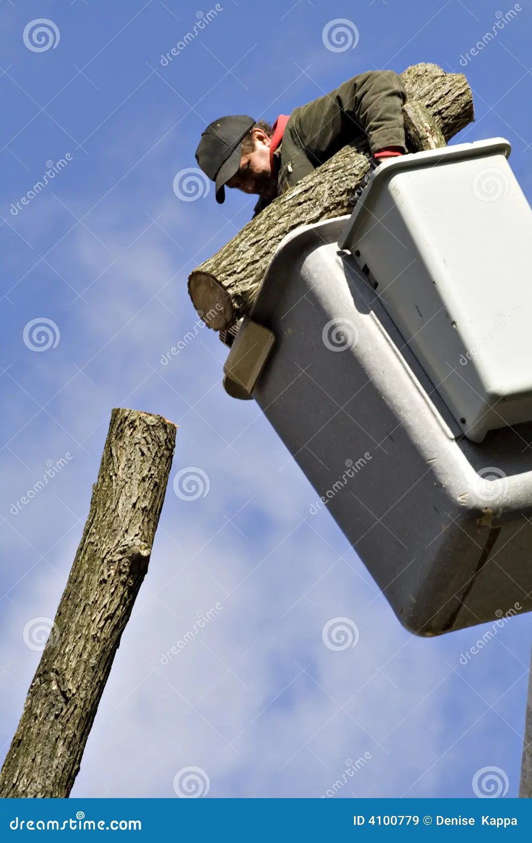 Tree Worker stock image. Image of remove, chainsaw, firewood 4100779