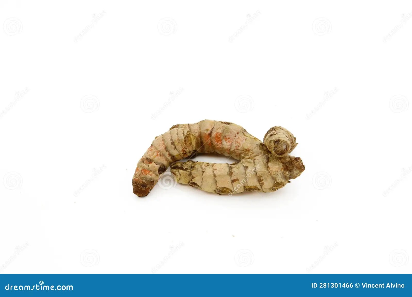 Turmeric Root stock photo. Image of root, healthy, grow 281301466