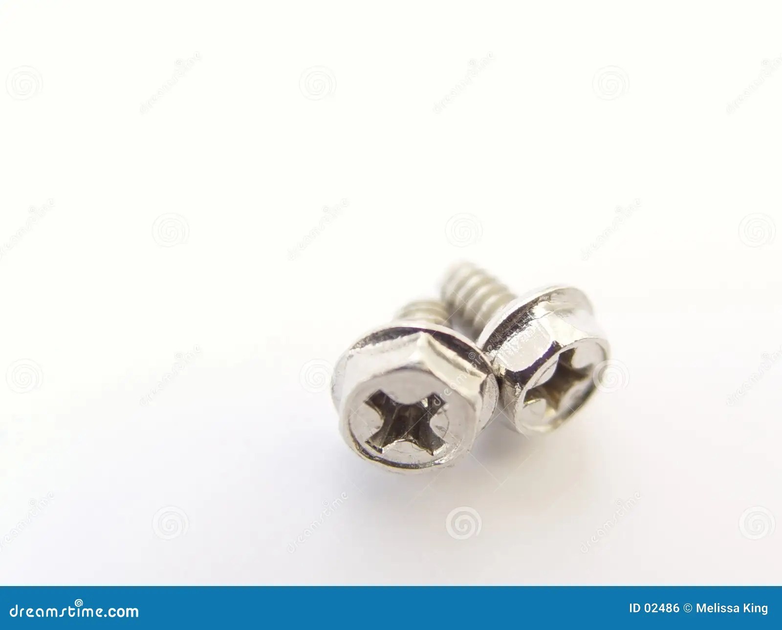 Two Small Computer Screws stock photo. Image of parts, metals 2486