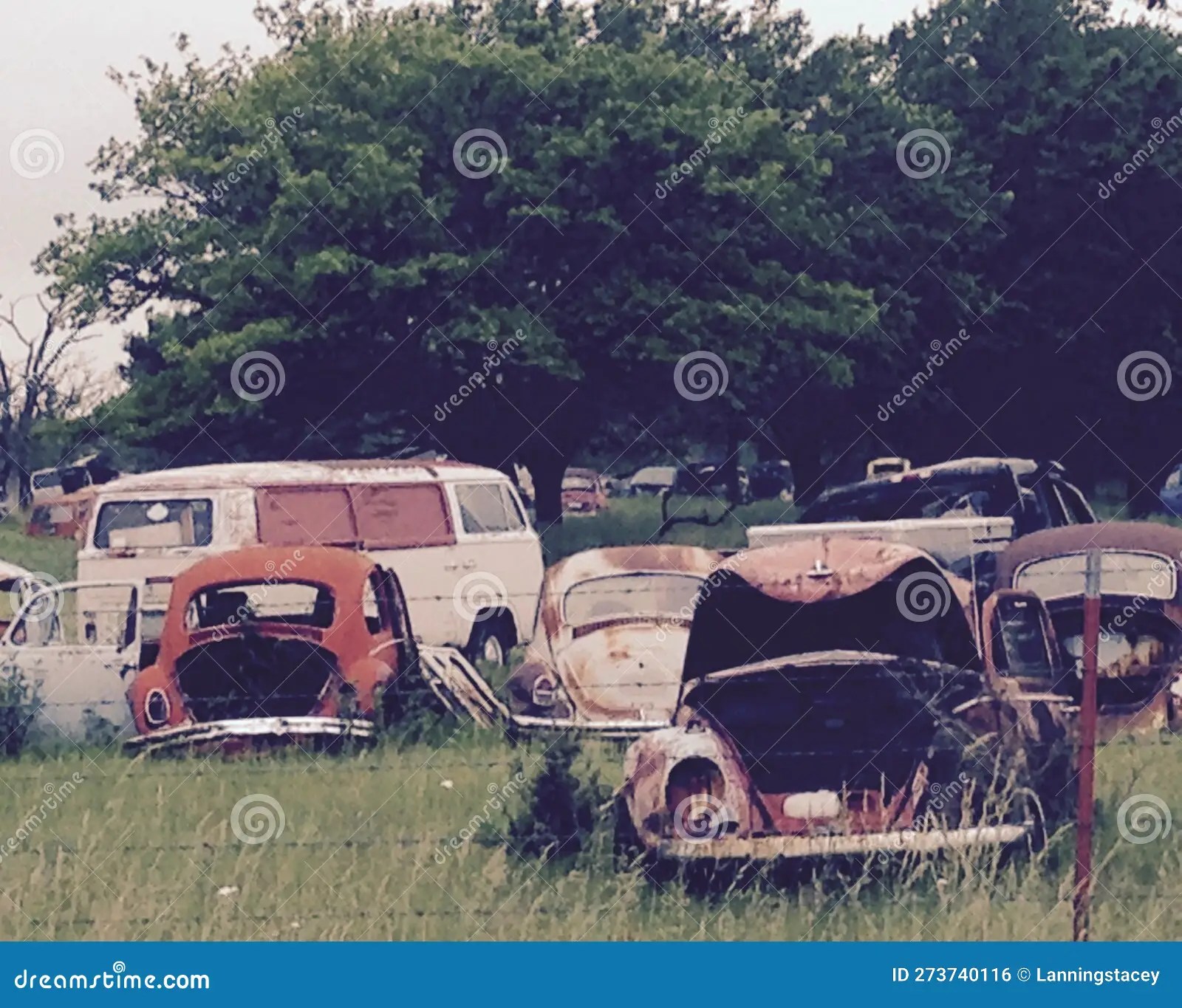 Volkswagon Junkyard in Oklahoma Stock Photo Image of field, tree