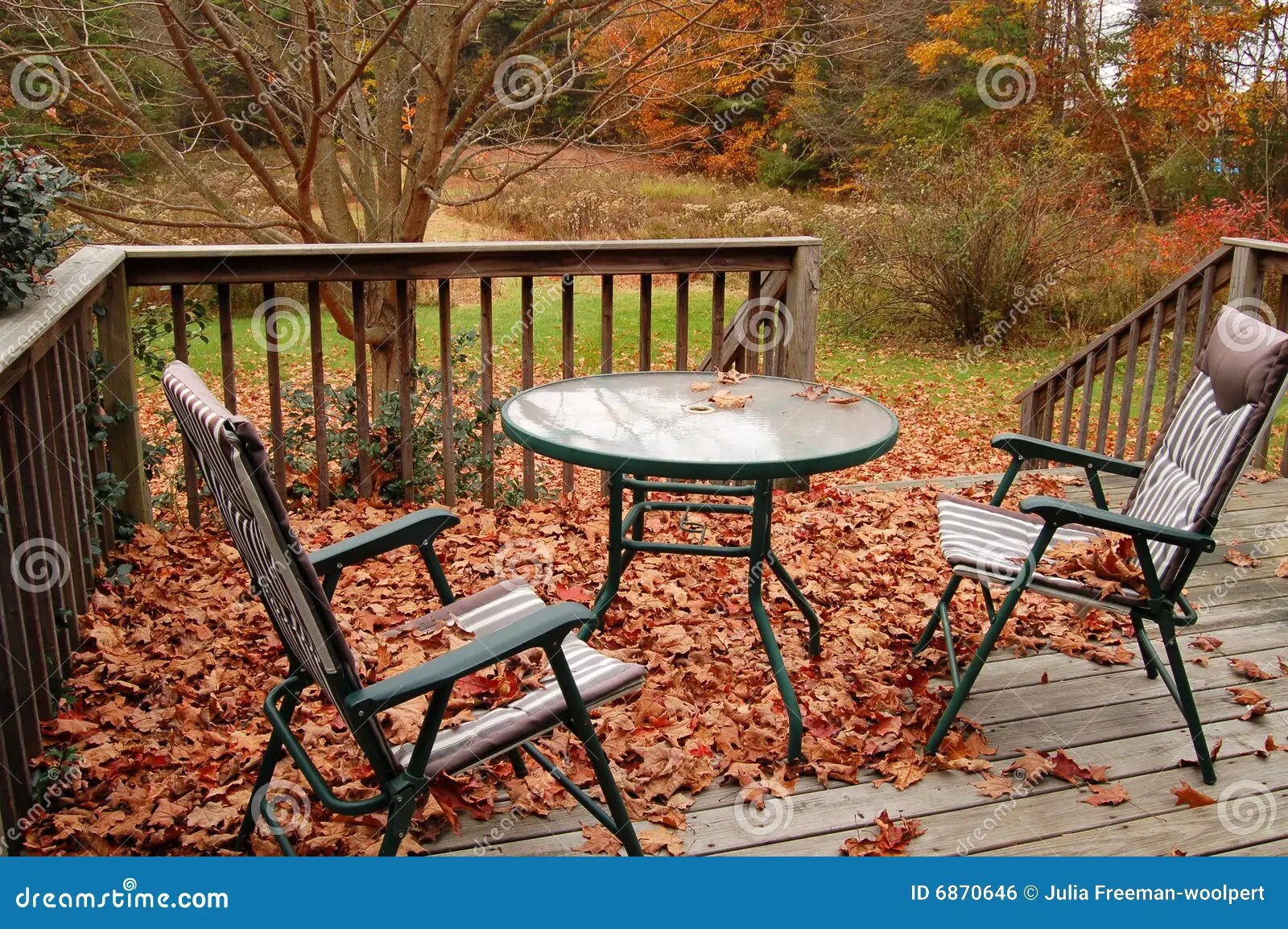 Yard work needed stock photo. Image of porch, clean, yard 6870646