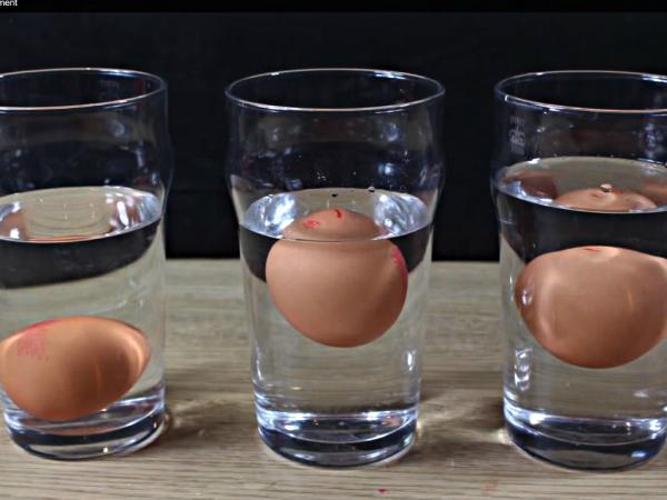 Middle School News February 2014