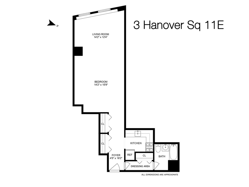 3 Hanover Square, New York, NY, 10004 Studio for sale, apartment