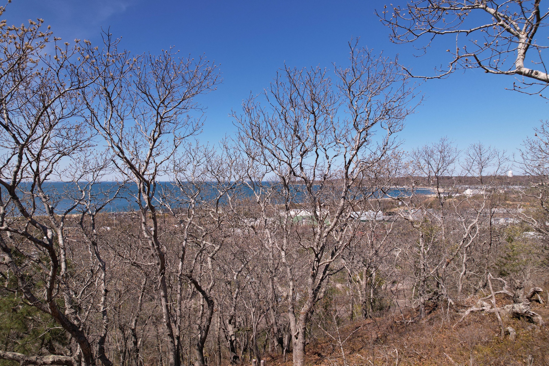 6 Fort Ln, Montauk, NY, 11954 Nest Seekers Nest Seekers