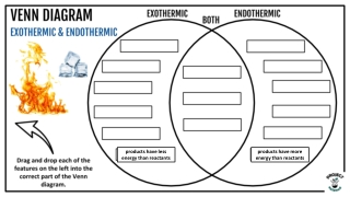 PPT - Exothermic and Endothermic Reactions Venn Diagram 7th grade