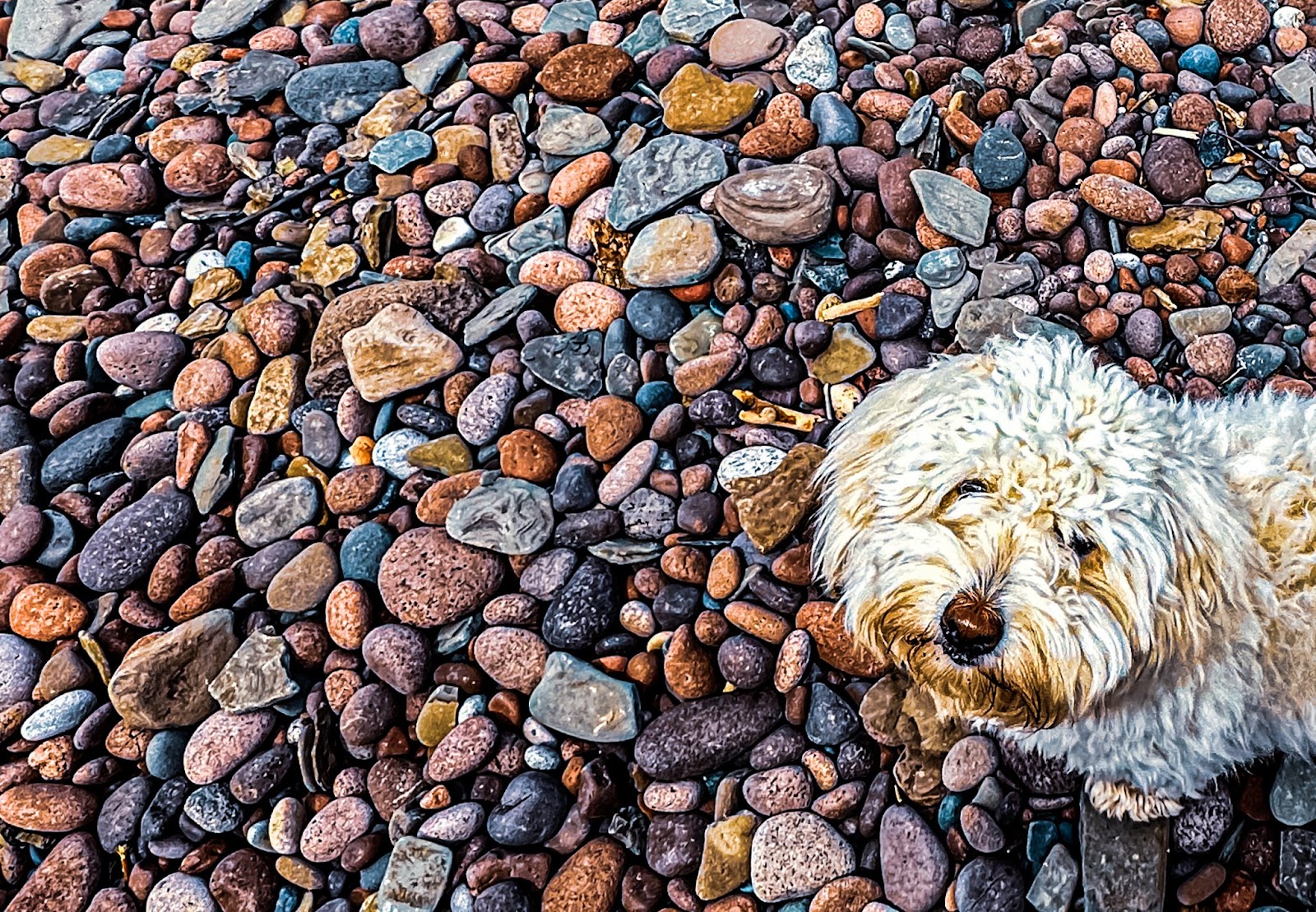 Michigan Rockhounding The Ultimate Guide To Unearth 5 Hidden Gems