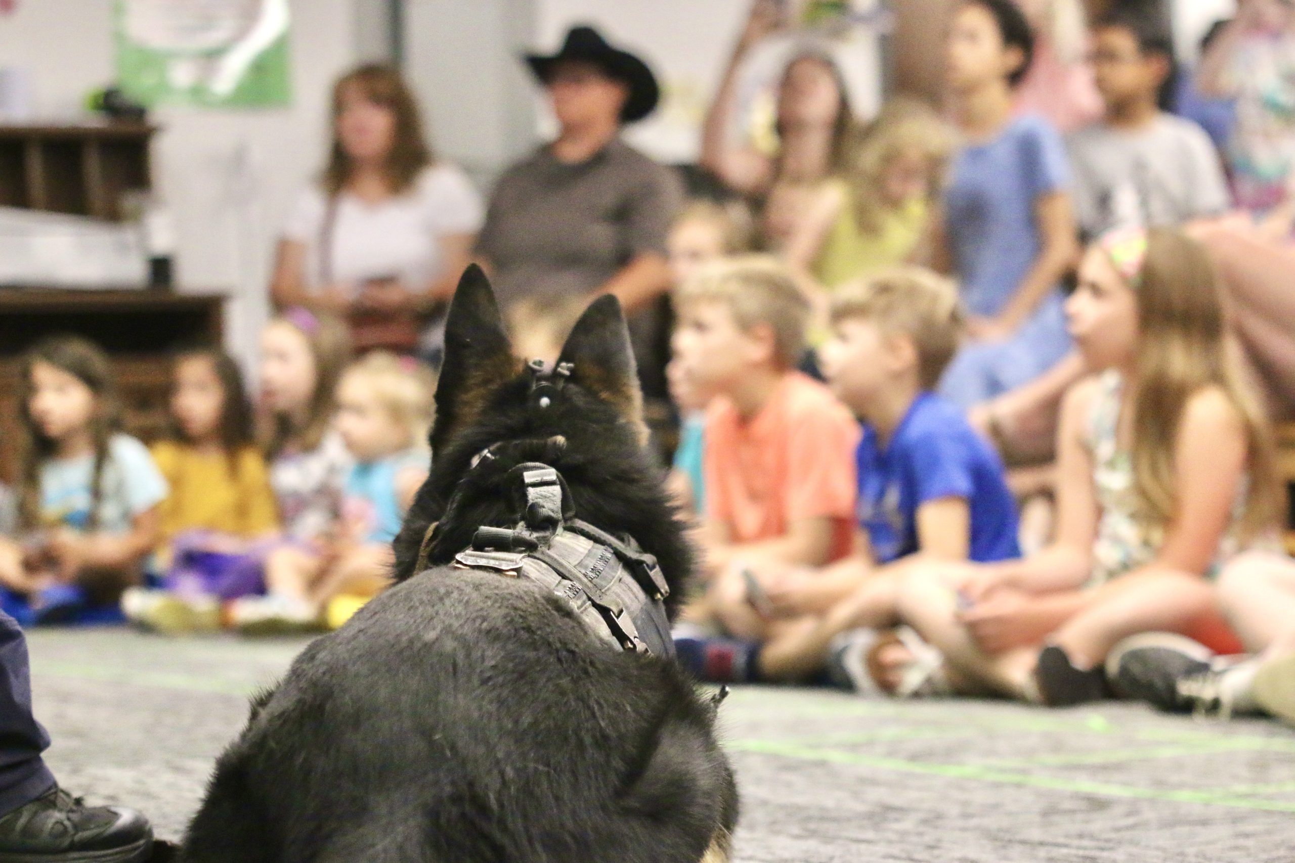 Coffee County Public Library Hosts Special K9 Guests for Summer Reading