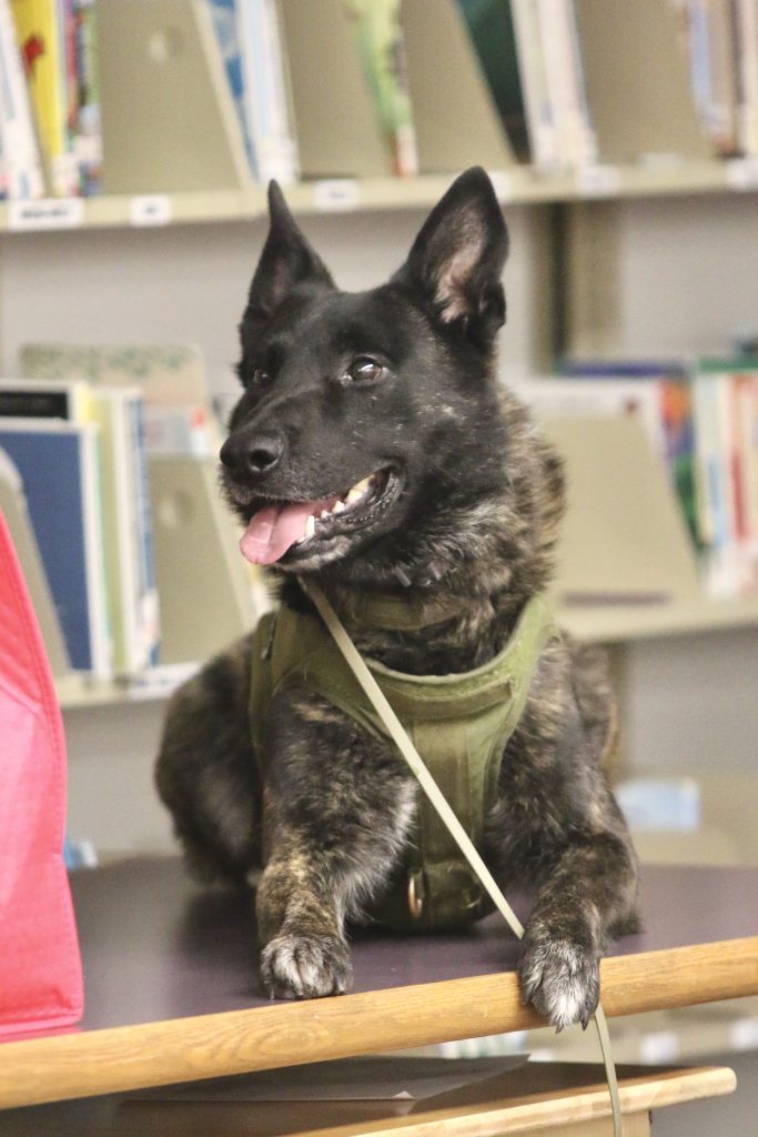 Coffee County Public Library Hosts Special K9 Guests for Summer Reading