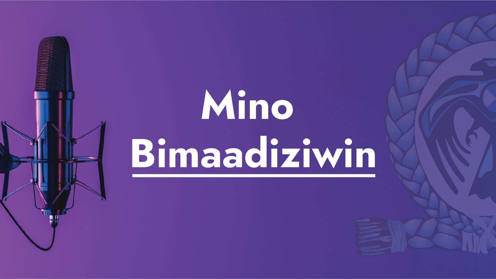 Mino Bimaadiziwin Thunderbird Partnership Foundation