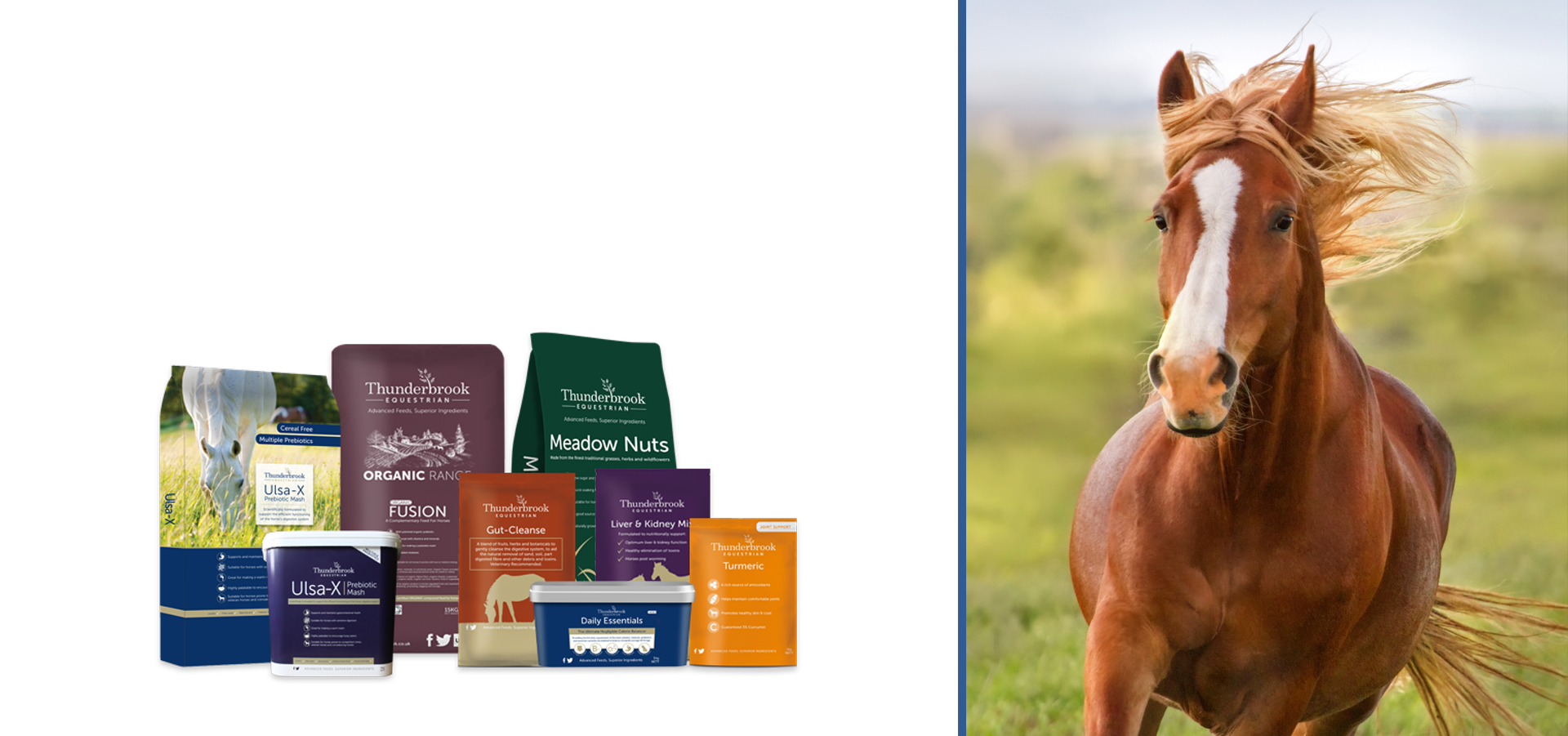 Thunderbrook Equestrian Equine Feeds & Herbal Supplements