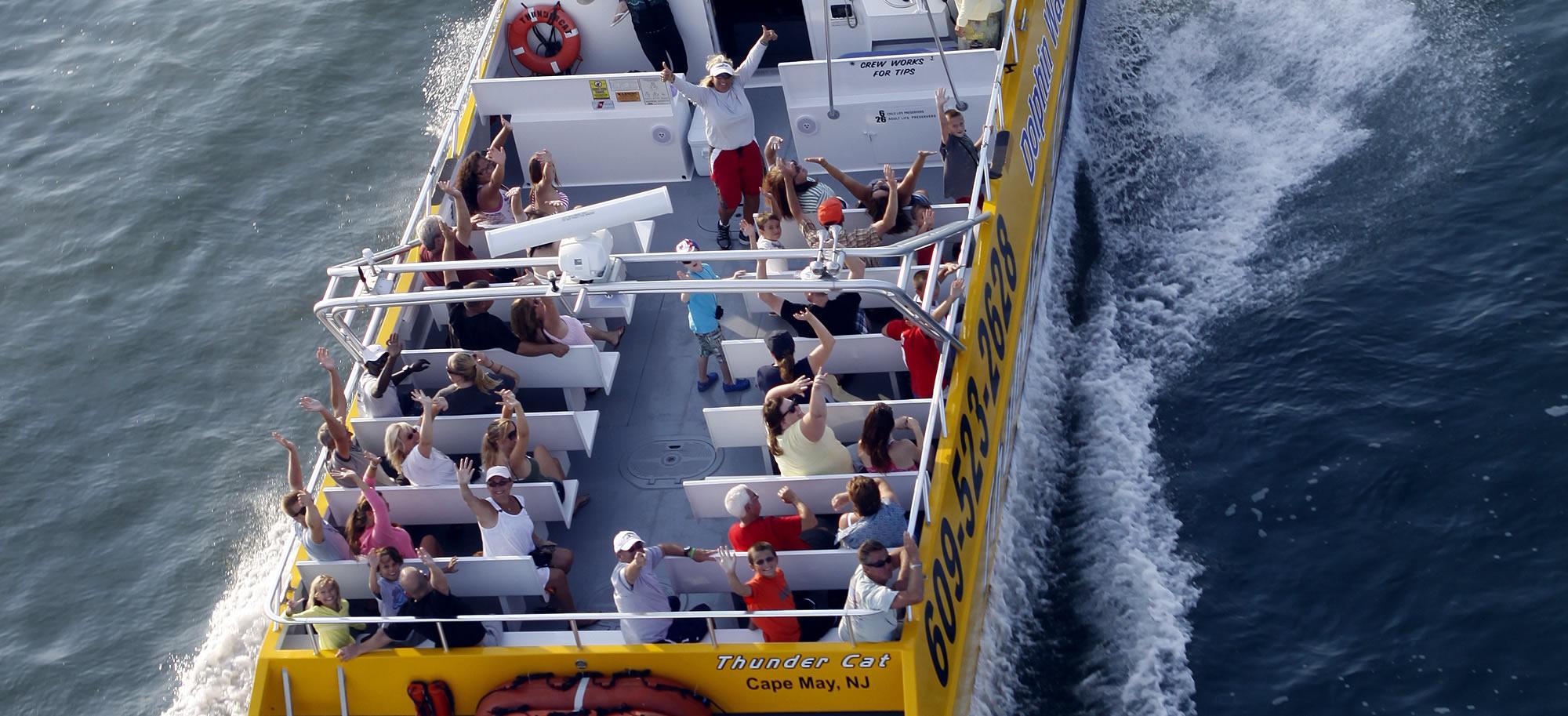 Thunder Cat Dolphin Watch & Speedboat Tours Wildwood