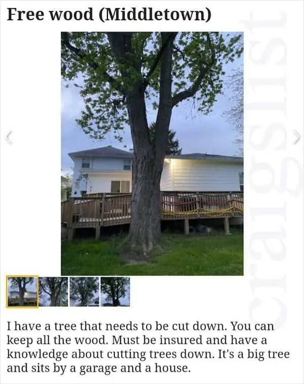 The Most Bizarre Craigslist Ads 31 Unhinged Listings You Have to See