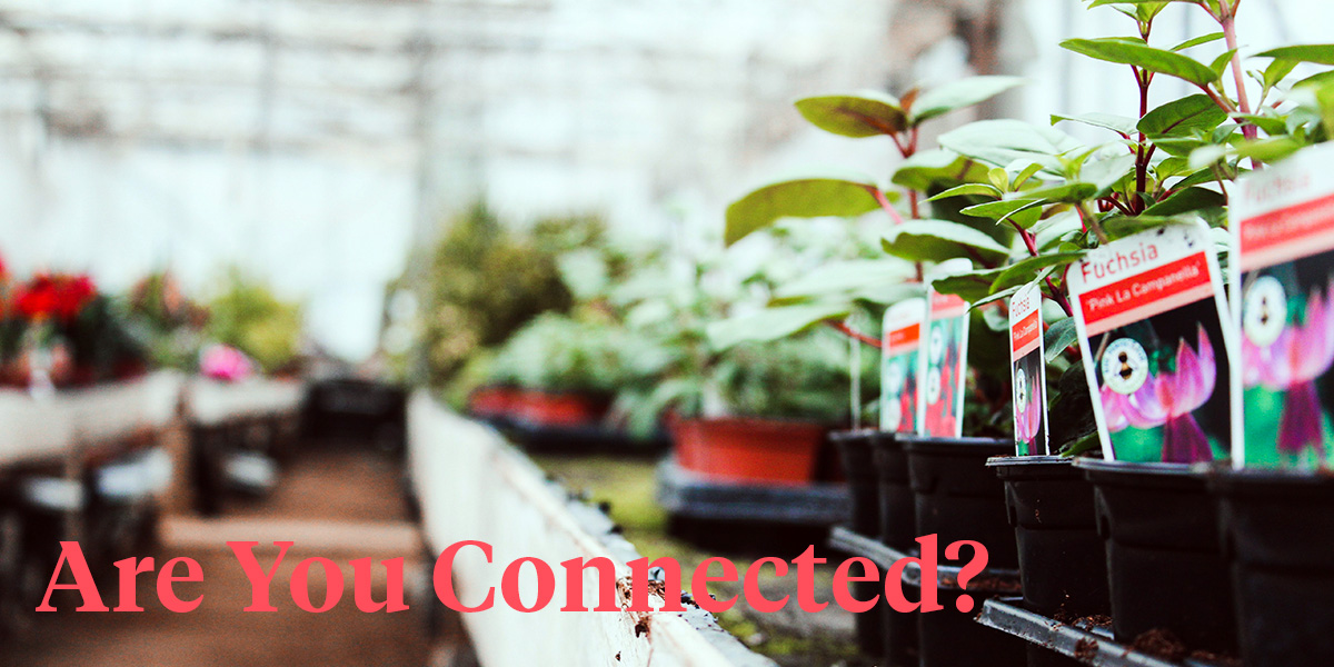 How Floral Industry Wholesalers and Distributors Can Create and Engage P...