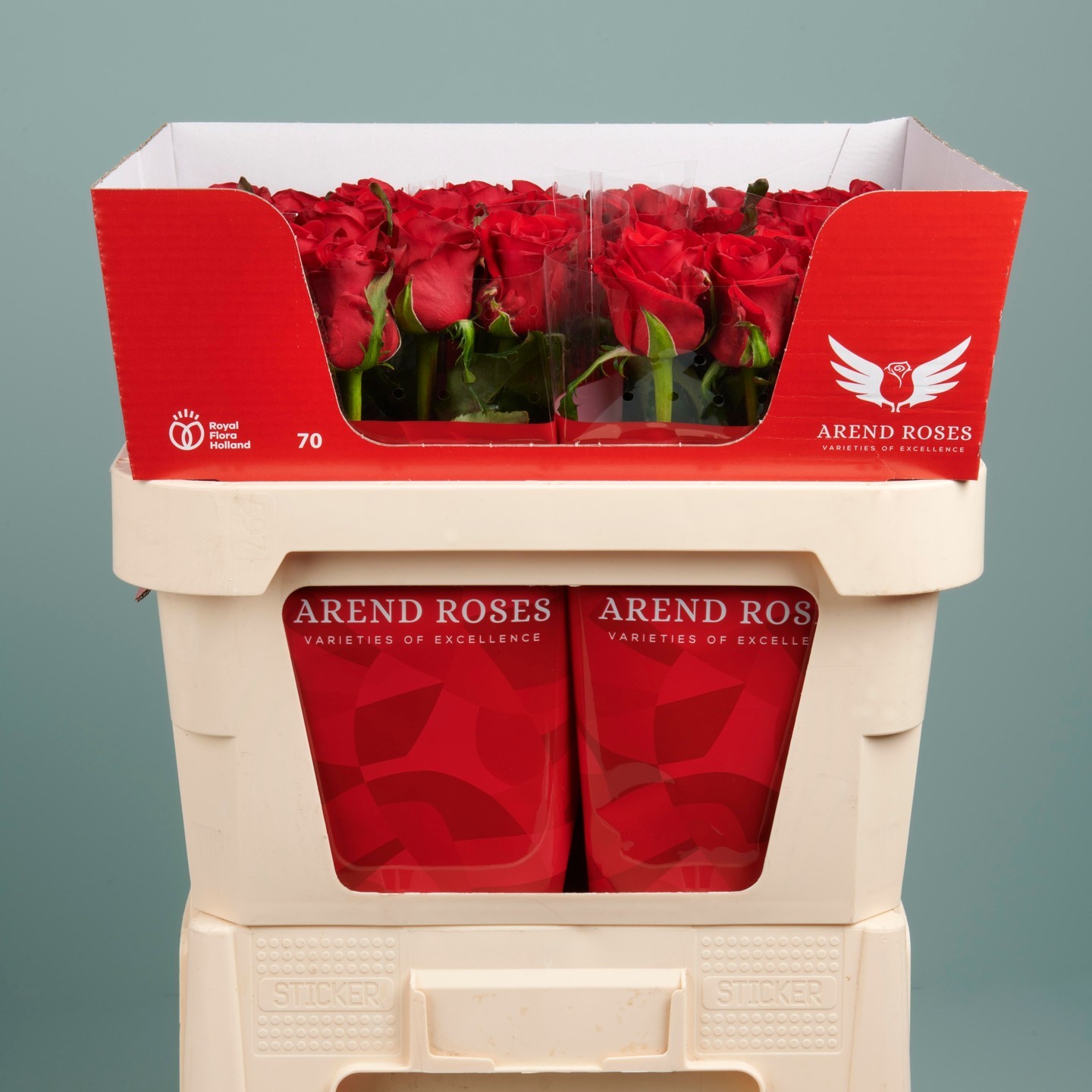 Giant Eagle Valentine S Day Flowers Best Flower Site