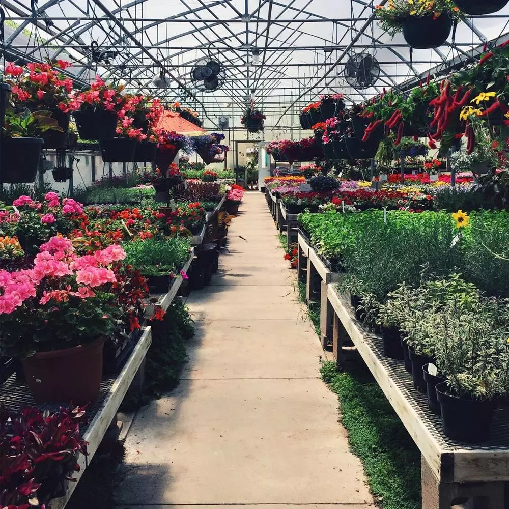 Sustainability In The Floral Industry Promoting EcoFriendly Practices