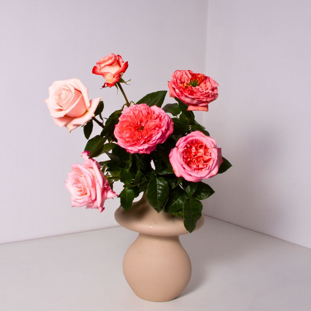 10 Questions to Jaime De Los Reyes, Marketing Manager Royal Flowers