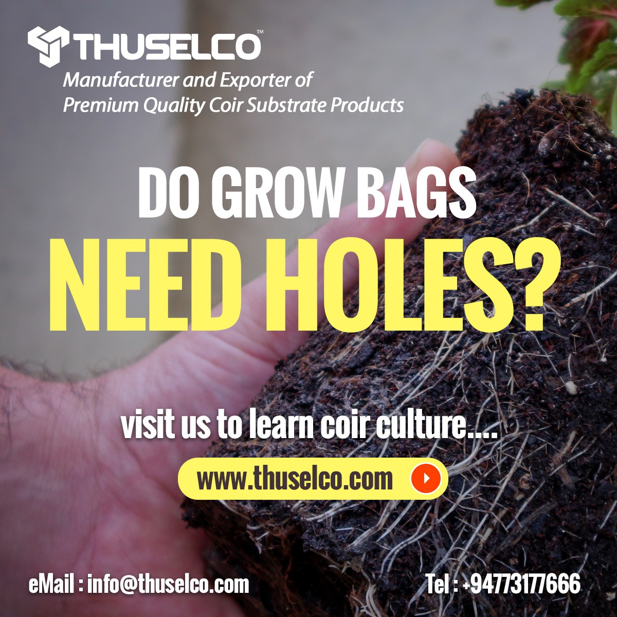 Coco Peat Blog Do grow bags need holes? THUSELCO