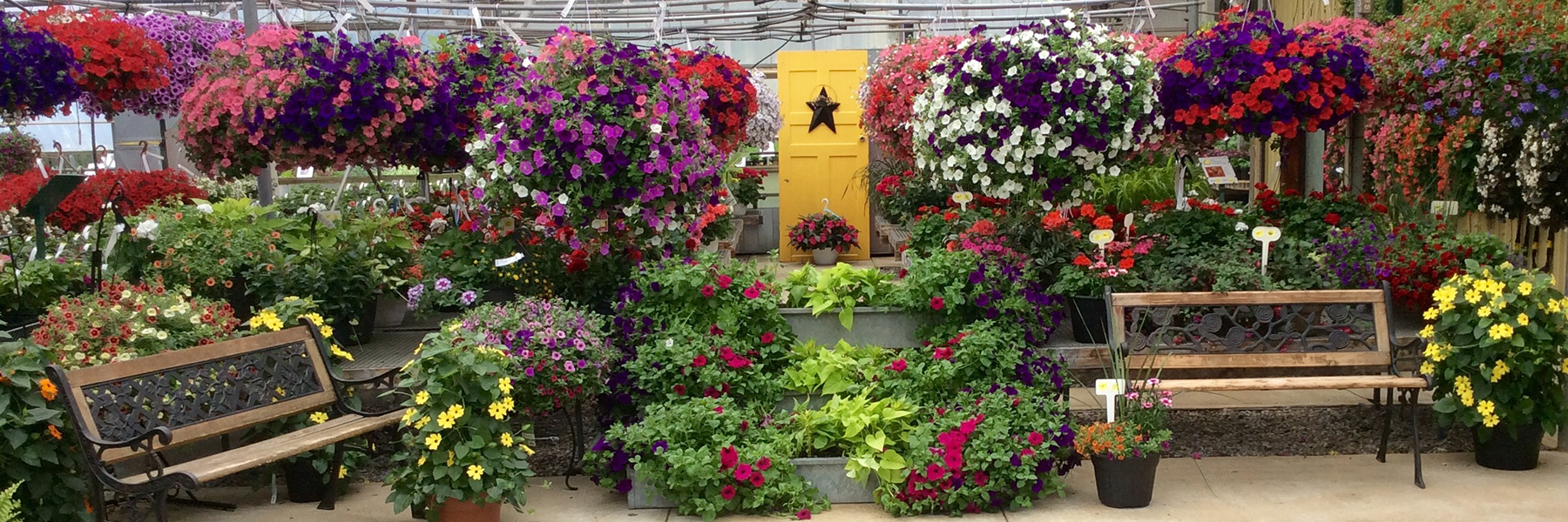 Thuss Greenhouses