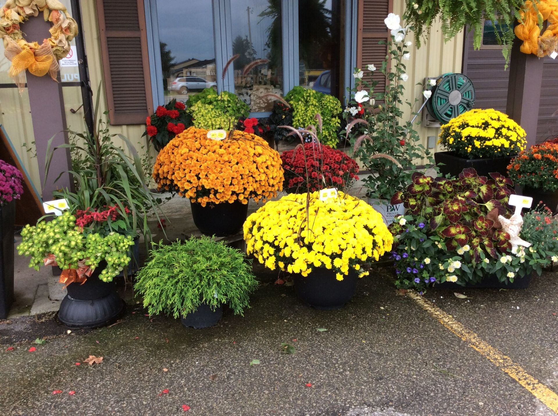 Thuss Greenhouses