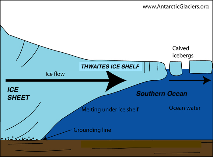 Seal Scientist! Measuring under the ice shelf! ITGC Thwaites Glacier