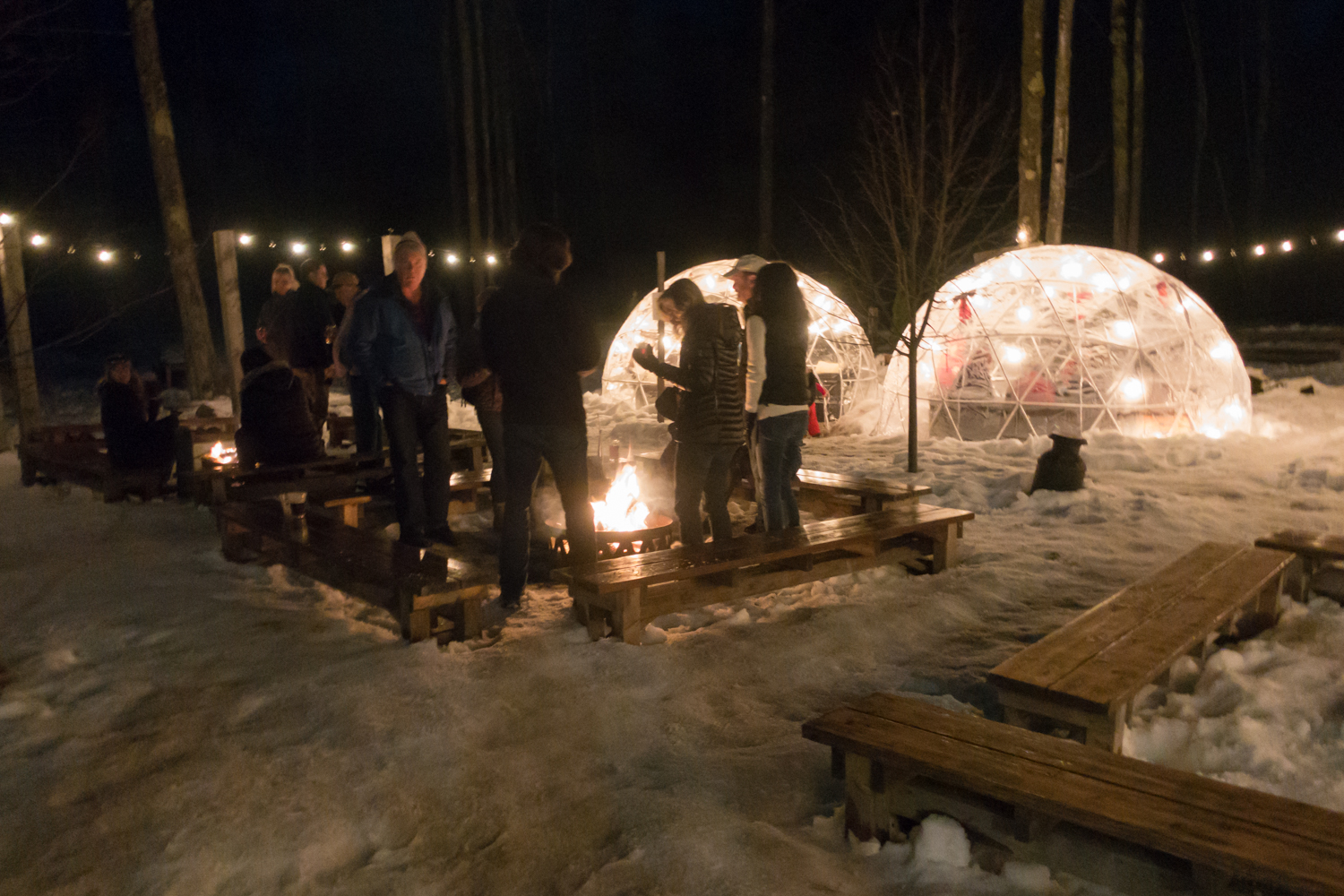 Traverse City Winter Getaway Thyme & Love