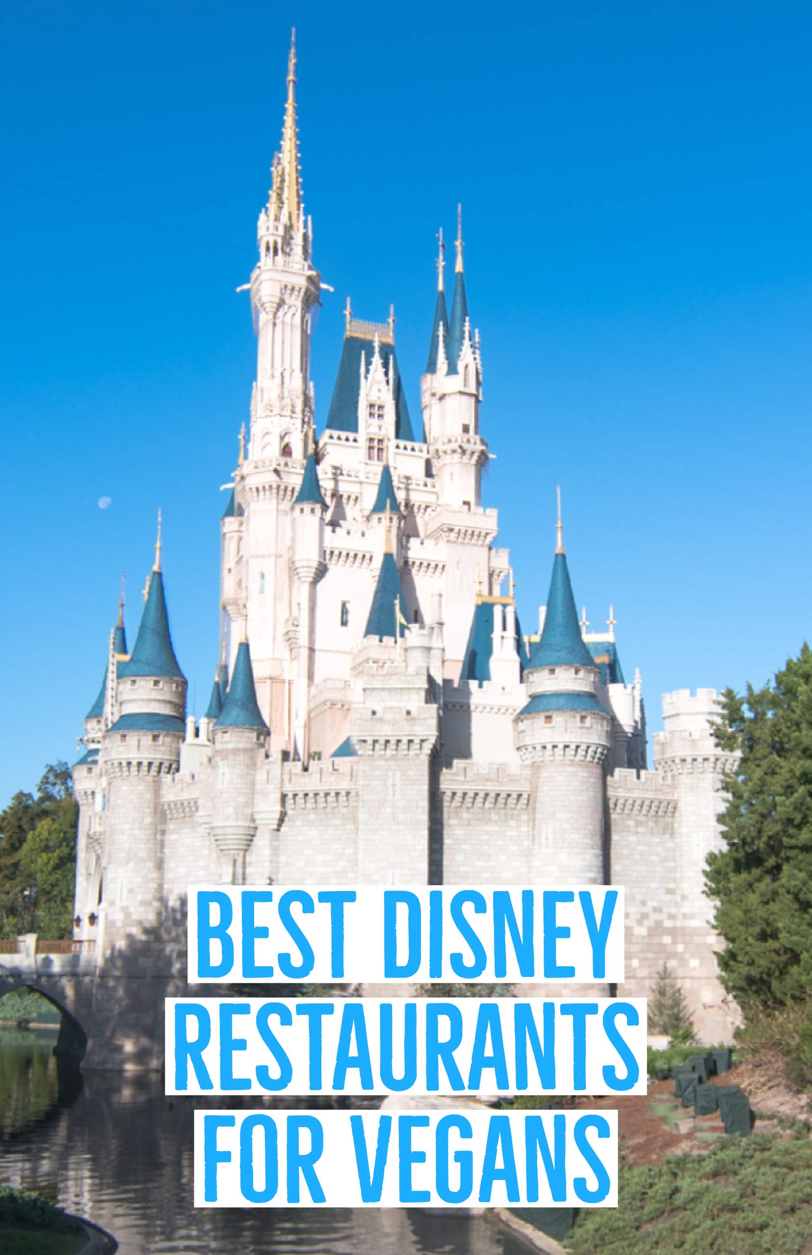 Best Disney Restaurants for Vegans Thyme & Love