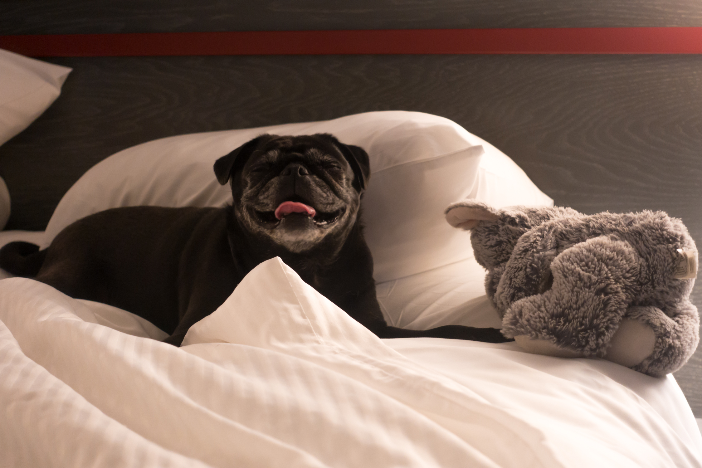 hotelredmadison Thyme & Love