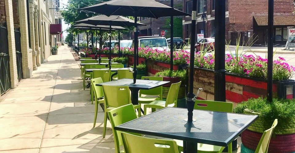 Thyme Photo Gallery Thyme