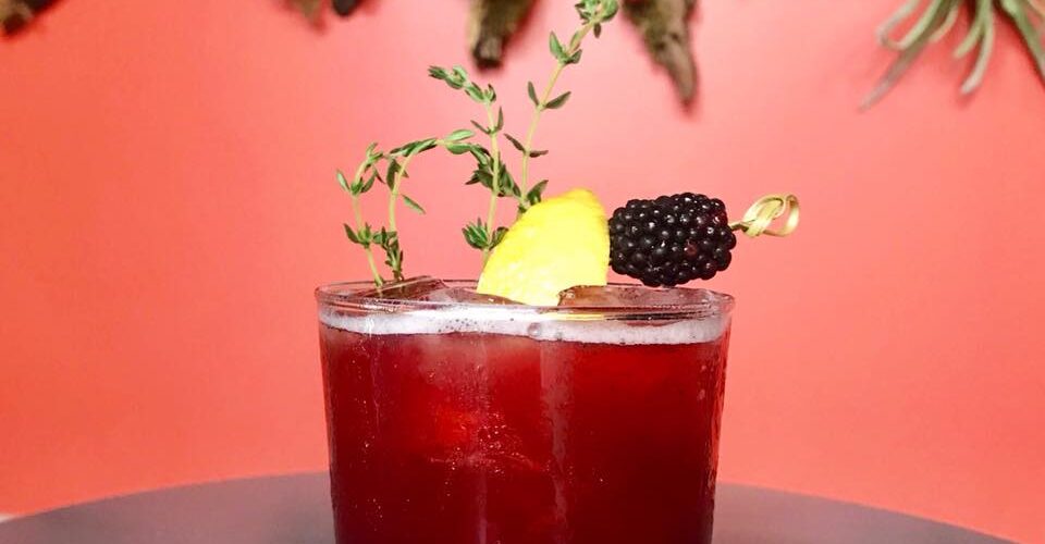 Thyme Photo Gallery Thyme