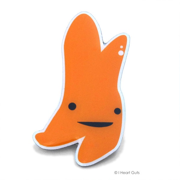 Ribbons, Wristbands, and Pins Foundation for Thymic Cancer Research