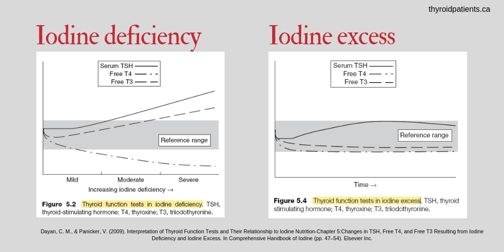 Question Pilo’s study Iodine dosing biases T4T3 secretion Thyroid