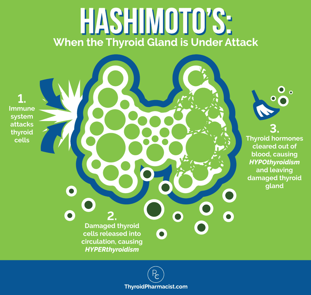 The Many Symptoms of Hashimoto's Dr. Izabella Wentz